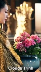 Tập 66 đến Tập 70 🎬 Còn Ra Thể Thống Gì Nữa (成何体统)