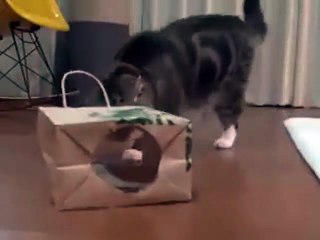 Look at my pretty dress