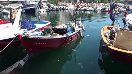 Marmara’nın küçük balıkçılarına \"müsilaj\" desteği geliyor