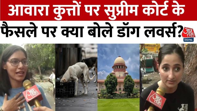 आवारा कुत्तों पर SC के फैसले को लेकर डॉग लवर्स का कैसा रिएक्शन? देखिए