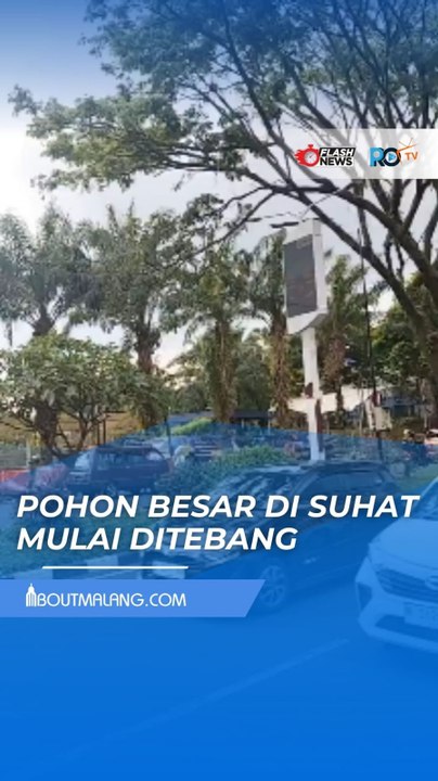 DERETAN POHON DI JALAN SUHAT KOTA MALANG MULAI DITEBANG, WARGA KHAWATIR SUASANA TAK LAGI RINDANG