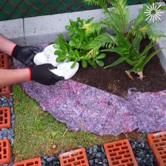 Give your garden a beautiful corner decor!