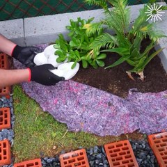 Give your garden a beautiful corner decor!