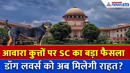 Supreme Court on Stray Dogs: शेल्टर होम नहीं, नसबंदी ही हल! आवारा कुत्तों पर आया सुप्रीम फैसला