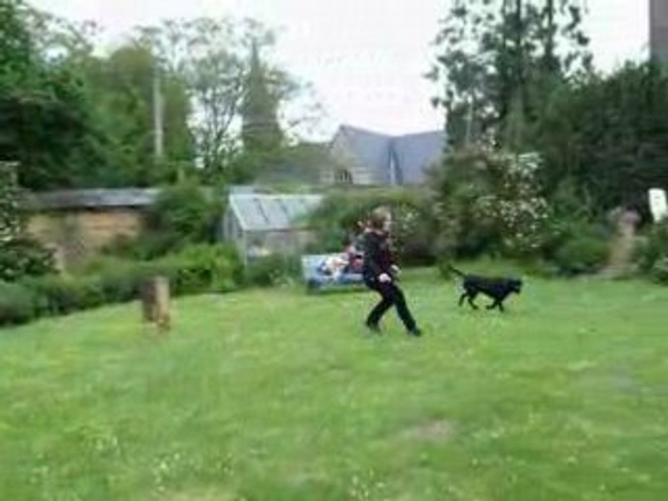 loucky chien cso 1m15