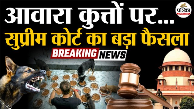 Supreme Court On Stray Dogs : आवारा कुत्तों पर सुप्रीम कोर्ट का फैसला! | Stray Dogs | Delhi NCR Dogs
