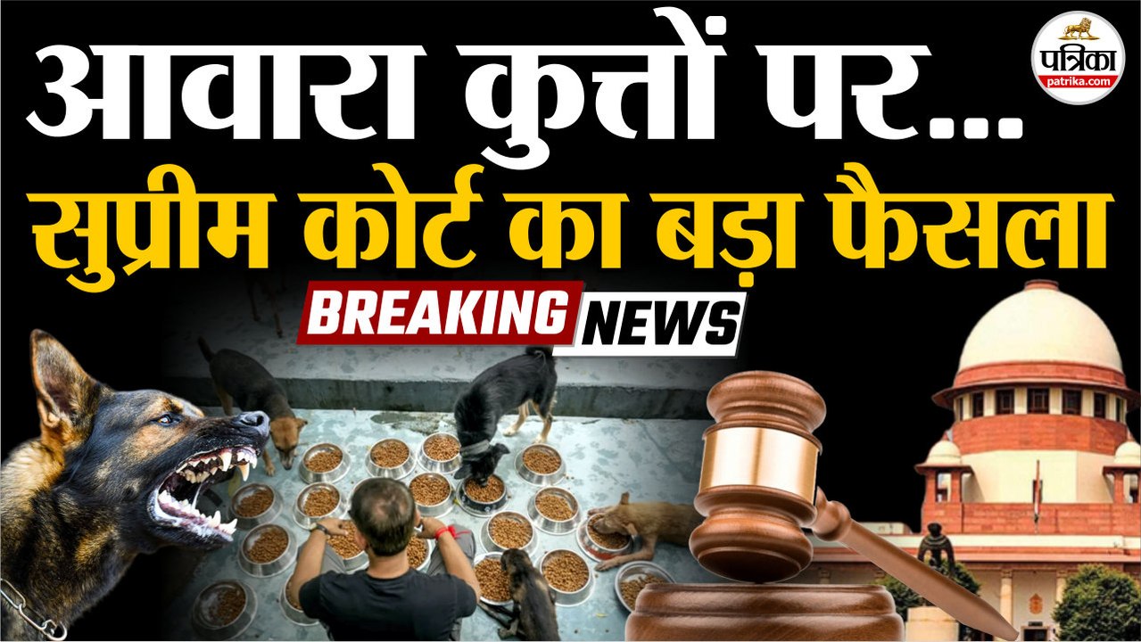 Supreme Court On Stray Dogs : आवारा कुत्तों पर सुप्रीम कोर्ट का फैसला! | Stray Dogs | Delhi NCR Dogs
