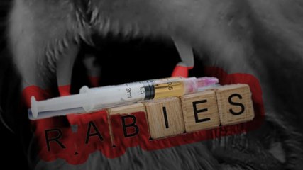India में पहले से क्यों नहीं दी जाती Rabies की Vaccine?