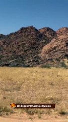 LES PAYSAGES de Namibie