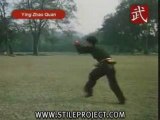 Martial Arts - Shaolin Kung Fu - Eagle Claw Style