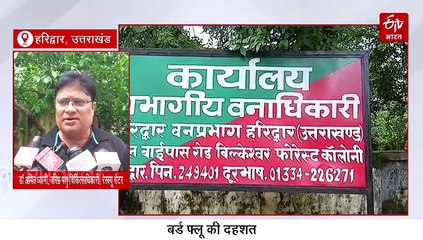 बर्ड फ्लू के कारण जानवरों की डाइट से चिकन आउट, हरिद्वार रेस्क्यू सेंटर में कोरोना काल जैसा अलर्ट