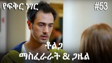 ቶልጋ &ጋዜል & ማስፈራራት #53- የፍቅር ነገር