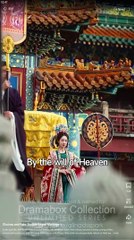 Choices And Fate Double-Edged Marriage