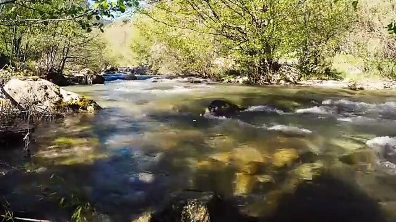 Au fil de l'eau