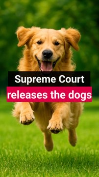 Worse decision. The Supreme court could not keep their own words. -#joke #meme #jokes #memes #funny #desijoke #jokeoftheday #desimeme #memesdaily #memepage #news #breakingnews #newsupdate #newstyle #india #haha #funnymemes #viral #viralreel