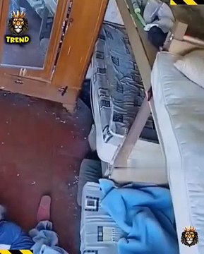 Horse Attacks Man – Unbelievable Real Moment! An unexpected moment when a horse suddenly attacked a man was caught live on camera. This unbelievable scene shows how unpredictable animals can be. Watch carefully and stay aware around wild or domestic anima