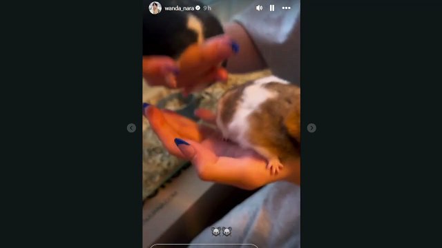 El curioso regalo de Andrés Nara a las hijas de Wanda Nara con un guiño a Evangelina Anderson