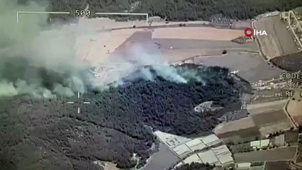 İzmir Menderes’te orman yangını