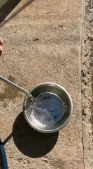 Morador do Parque Ibirapuera denuncia água barrenta após retorno do abastecimento