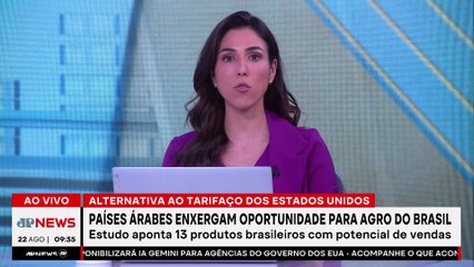 Câmara Árabe revela oportunidades de exportação para agro do Brasil; Ghani analisa