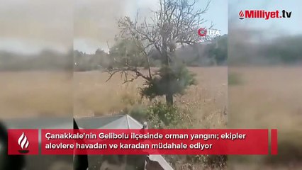 Çanakkale'de orman yangını! Havadan ve karadan müdahale başladı