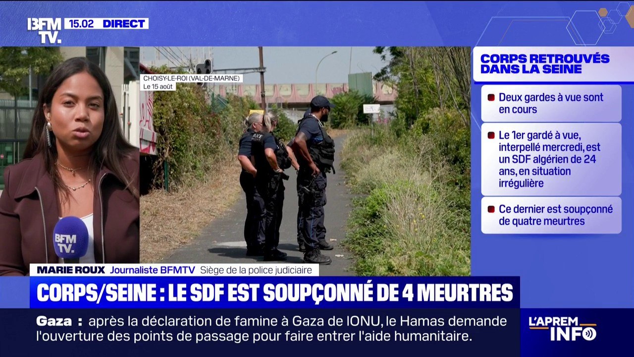 Corps retrouvés dans la Seine: le premier homme en garde à vue est suspecté des quatre meurtres