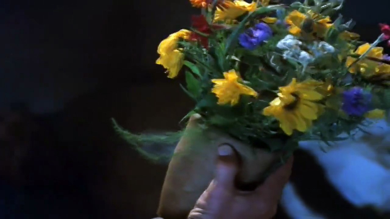 LE NOZZE DI FIGARO (LES NOCES DE FIGARO) : WOLFGANG AMADEUS MOZART