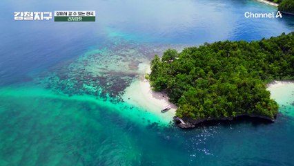 "여기는 정말 낙원 맞네요" 경이로운 바다 속 구경 후 오션뷰에서 즐기는 티타임