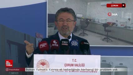 Bakan Yumaklı: Kırmızı et tedariğinde herhangi bir problem yok