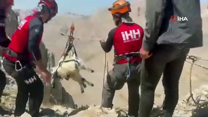 9 gün boyunca mahsur kalan keçiler 5 saatlik operasyonla kurtarıldı