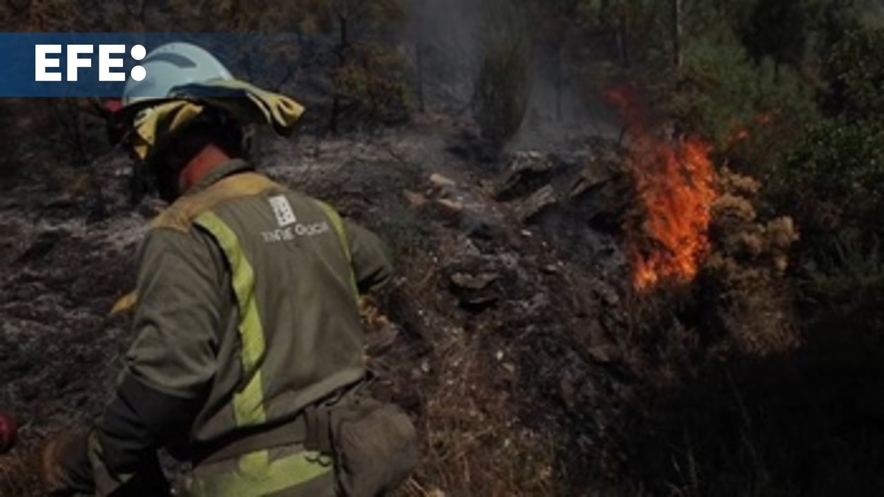 Galicia: ocho focos activos