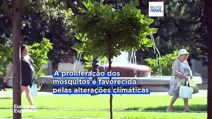 Doenças transmitidas por mosquitos atingem níveis recorde na Europa