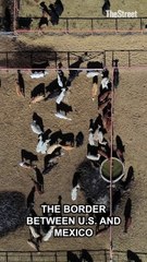 Why beef prices are soaring to record highs