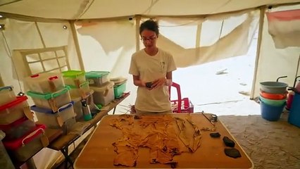 Lost Treasures of Egypt - S06E06 - The Last Pharaohs