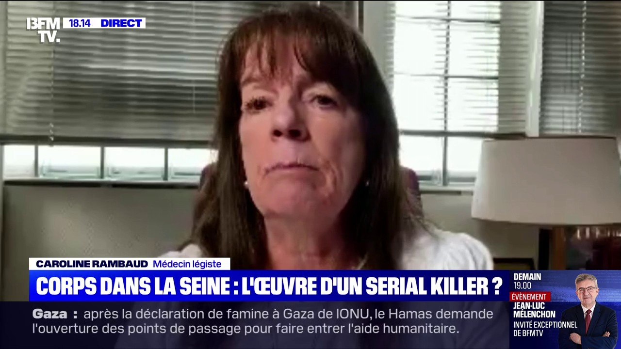Corps retrouvés dans la Seine: "la difficulté c'est que les articulations deviennent laxes", explique une médecin légiste