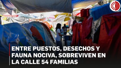 Entre puestos, desechos y fauna nociva, sobreviven en la calle 54 familias