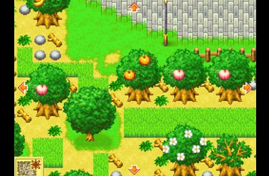Harvest Moon DS/DS Cute Review Newbie's Perspective Part 3 Finale