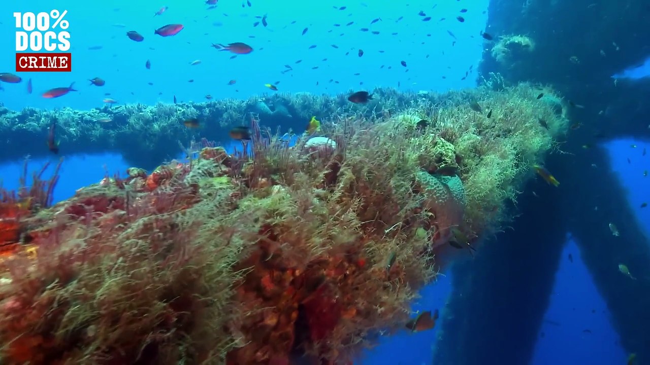 11 morts, 87 jours de marée noire  lexplosion de Deepwater Horizon