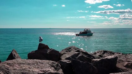 ✨ Méditation 352 Hz : Équilibre et Guérison Émotionnelle ✨