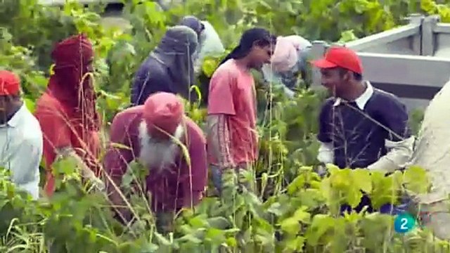 Emprendedores e innovadores Cap 5