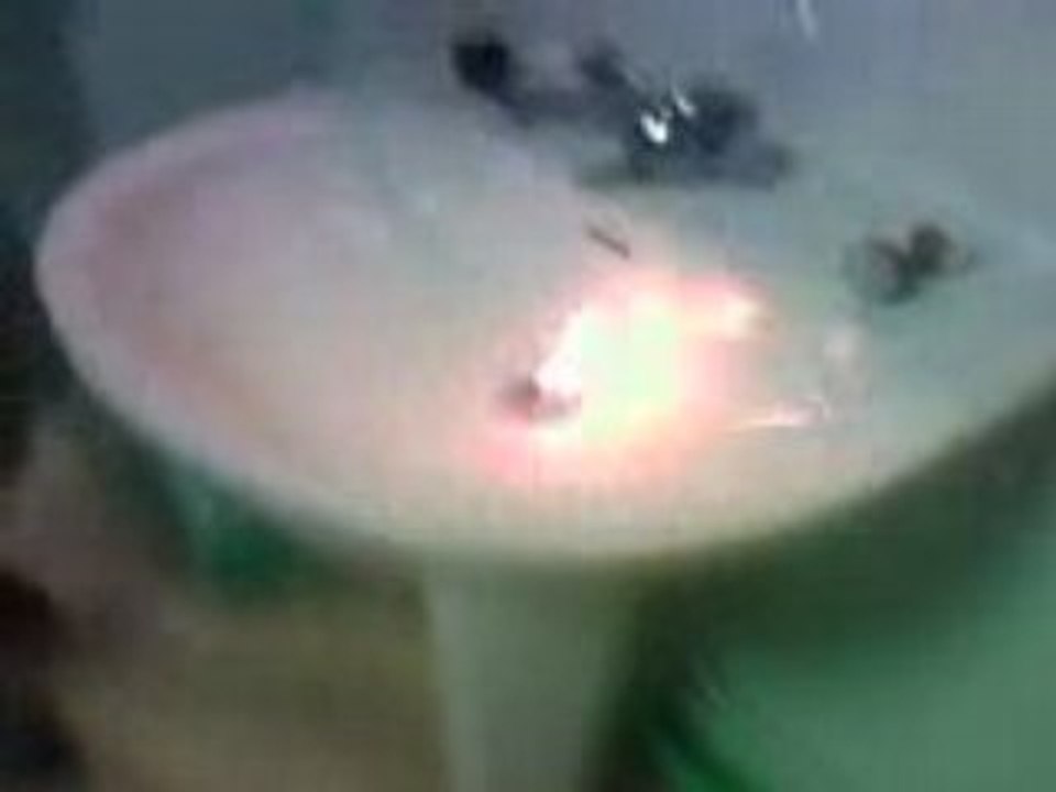 Deo dans lavabo