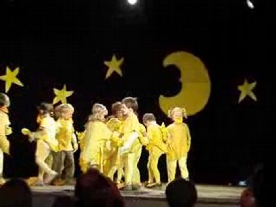 Danse_canards1
