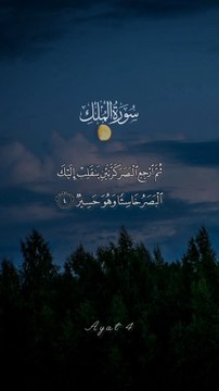 Surah Mulk | beautiful recitation | 4 to 7 Ayats | MY Quran