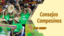 Café en la Mañana | Consejos Campesinos elegirán el 6 de septiembre sus vocerías a nivel nacional