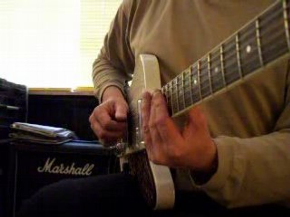 Lap King DuMont Leatherbird 04