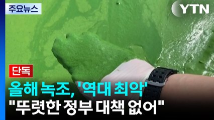 [단독] 올해 녹조, '역대 최악' 작년보다 심각...대책은 연말에? / YTN