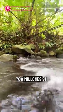 Presa Tunal 2: conoce cuál es la situación actual de este proyecto de infraestructura hídrica que beneficiará a miles de duranguenses.