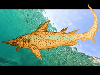 Unleashing an INCREDIBLE Shark to Protect Our Oceans!