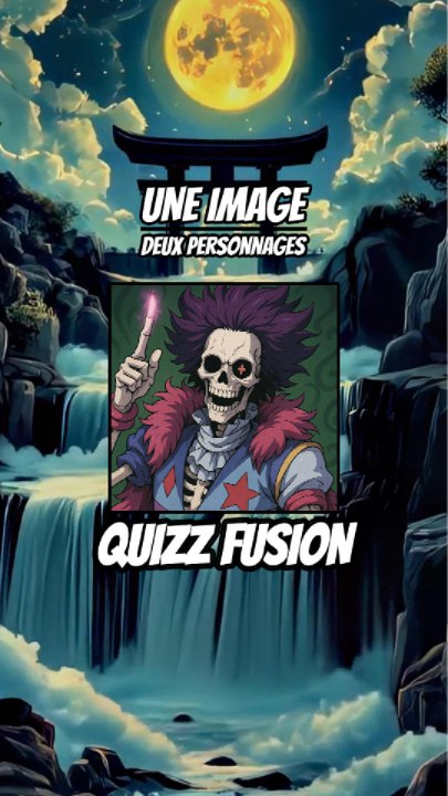 Quizz fusion - Une images, deux personnages !