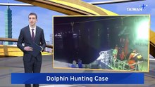 Taiwanese Fishing Captain Sentenced to 2 Years in Prison for Killing 43 Dolphins